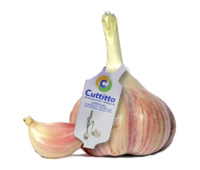 aglio-def