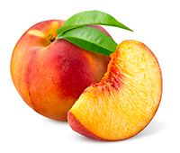 pesche